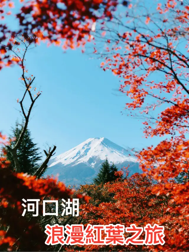 🇯🇵 🏔️東京5日4夜•富士山紅葉•六本木點燈浪漫之旅