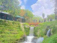 Taman Agroteknologi MARDI, Cameron Highlands โ A Fresh Breath of Highland Charm ๐๐ธ
