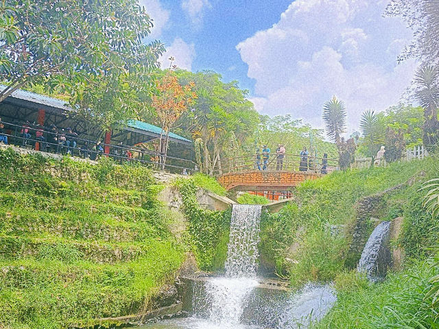Taman Agroteknologi MARDI, Cameron Highlands โ A Fresh Breath of Highland Charm ๐๐ธ Taman Agroteknologi MARDI, Cameron Highlands โ A Fresh Breath of Highland Charm ๐๐ธ