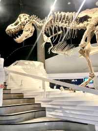 Mind-Blown at The Mind Museum, BGC