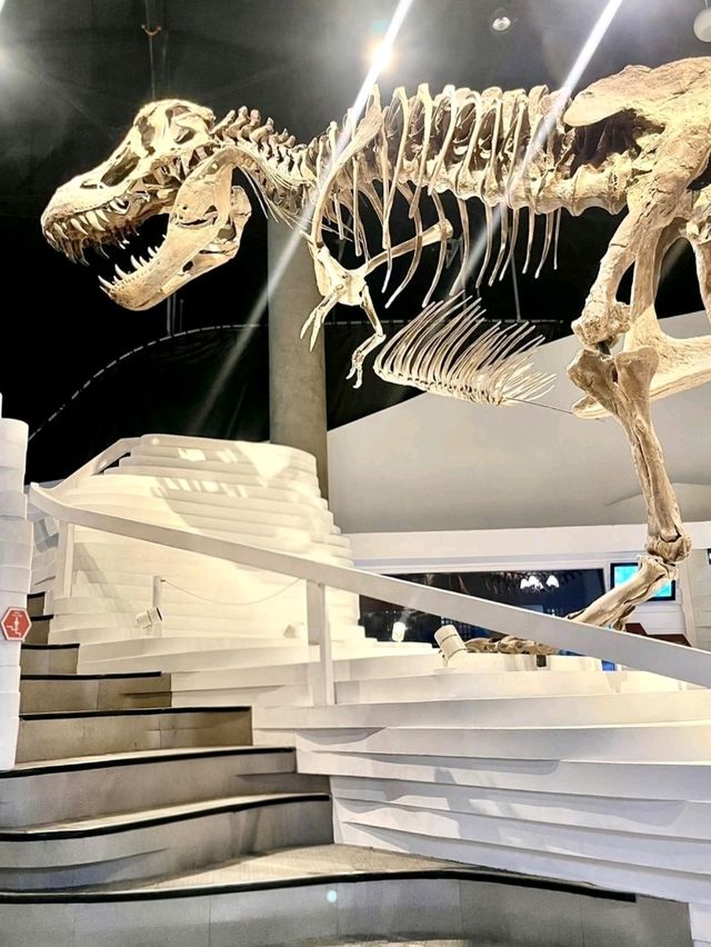 Mind-Blown at The Mind Museum, BGC