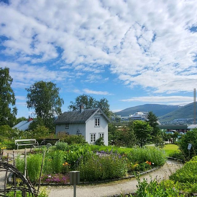Tromsø – Arctic–Alpine Botanic GardenTromsø arktisk-alpine botanisk hage