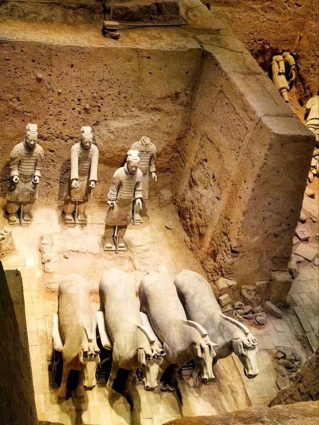 Standing Before the Legendary Terracotta Army