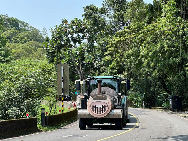 🐼 台北市立動物園 - 城市中的野生秘境