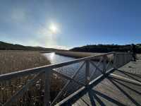 โลเคชั่นถ่ายรูปสุดปังPrincetown Wetlands Boardwalk