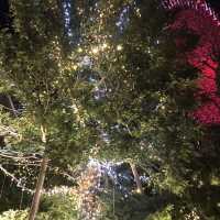 横浜ワールドポーターズのクリスマス:過去アーカイブと2025–2026年予測