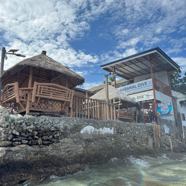菲律賓宿霧 墨寶沙丁魚浮潛