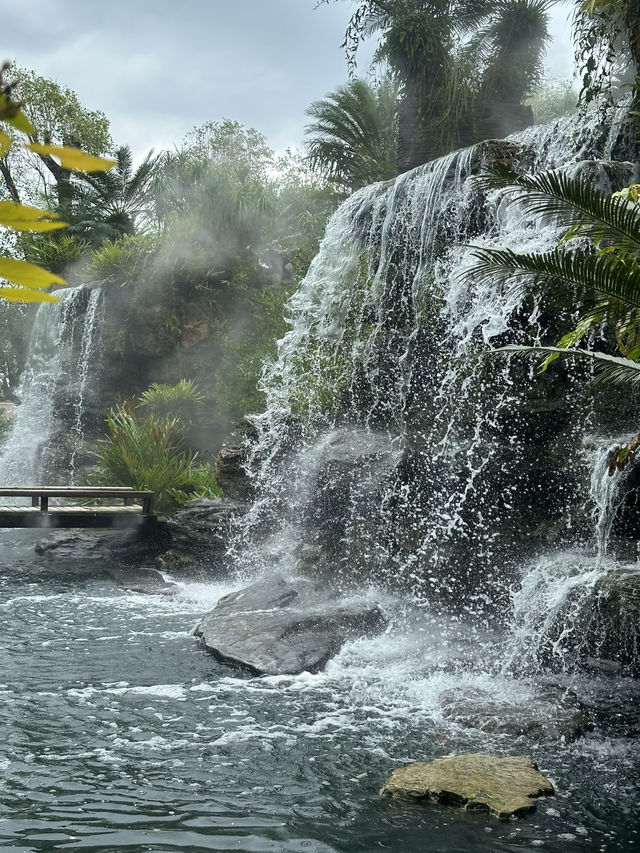 คาเฟ่ U FORESTS แกลง 