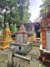 🌺ชวนเที่ยว วัดพระธาตุหนองบัว