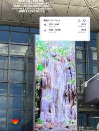 深夜便で弾丸1泊2日✈️香港女子ひとり旅に行ってきました✨