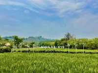 “ม่อนกระถาง” — คาเฟ่บรรยากาศดีริมทุ่งนา