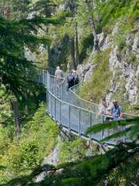 Revolving Around the Beauty of Nature: Eyes – Austria 