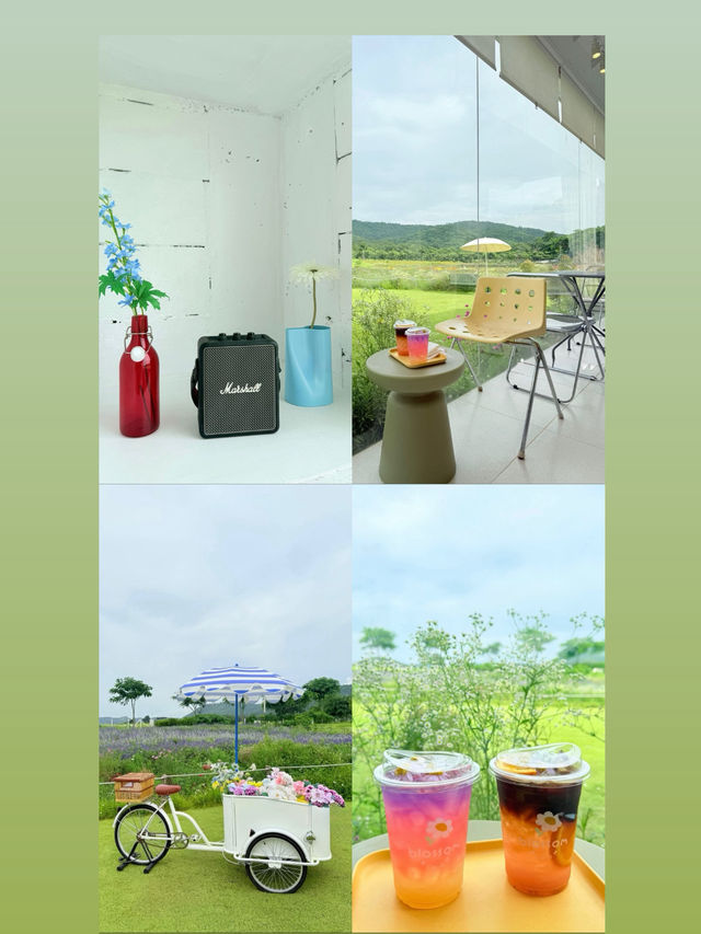 คาเฟ่ดอกไม้ที่เขาใหญ่ Blossom Bloom . 