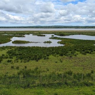 RSPB 포트모어 로우 자연 보호구역 – 러프 네이의 습지의 경이로움