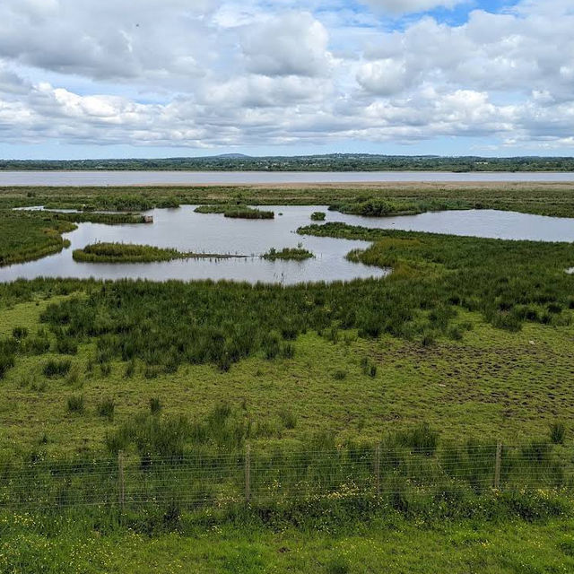 RSPB Portmore Lough Nature Reserve – Wetland Wonder by Lough Neagh