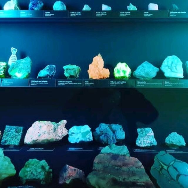 Small but great museum with lots to see including fossils, rocks and gemstones. There are some free activity sheets and a room with books, colouring sheets and puzzles