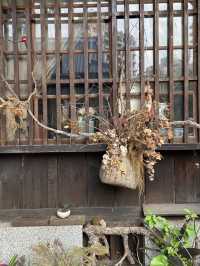 Taichung's Heritage Blend: Cultural Heritage Park