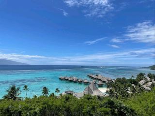 Lush Escape on Moorea Island