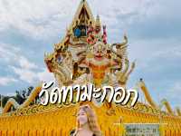 ไหว้พระอุโบสถสีทองวัดท่ามะกอก