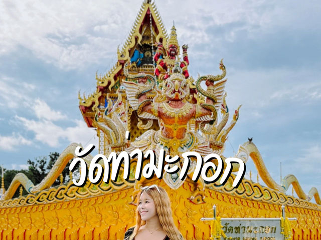 ไหว้พระอุโบสถสีทองวัดท่ามะกอก ไหว้พระอุโบสถสีทองวัดท่ามะกอก