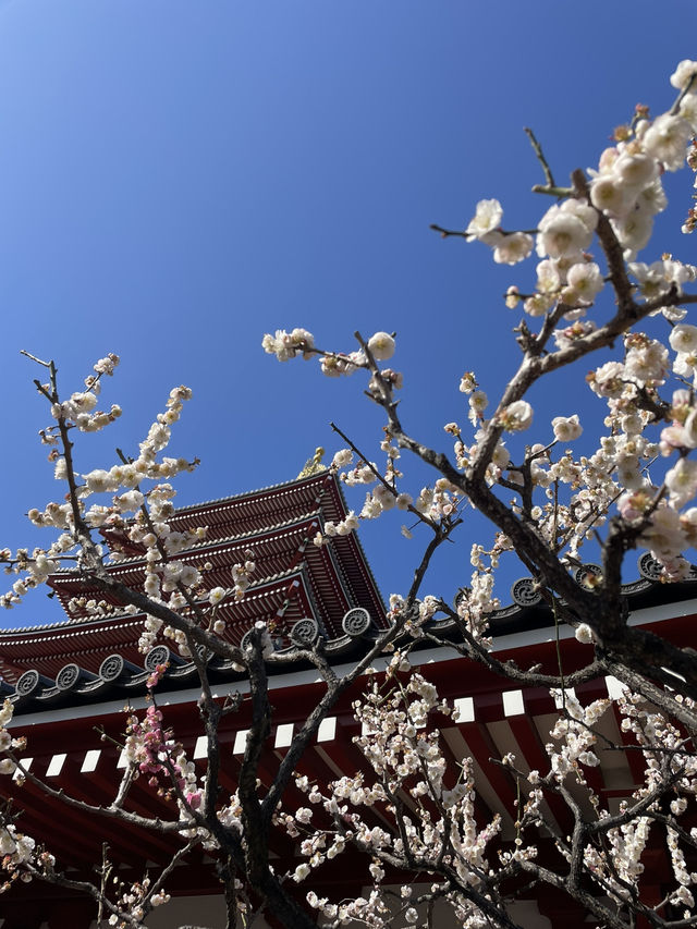 พาไปเดินเล่นย่าน Asakusa !