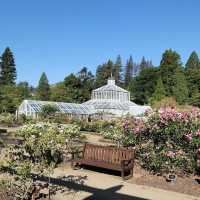 Dunedin Botanic Garden
