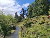 Dunedin Botanic Garden