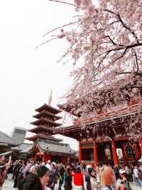 淺草寺（せんそうじ）