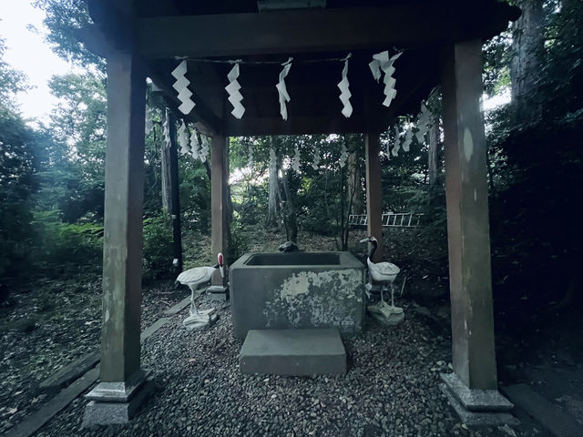 仙台・亀岡八幡宮｜石鳥居と長い石段が語る歴史と自然のパワースポット