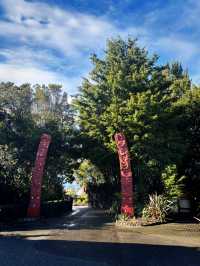 【新西蘭北島】蒂普亞毛利文化村（Te Puia）：深入毛利人文化之旅