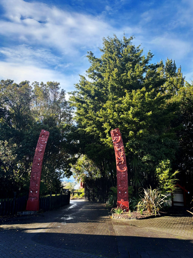 【新西蘭北島】蒂普亞毛利文化村（Te Puia）：深入毛利人文化之旅