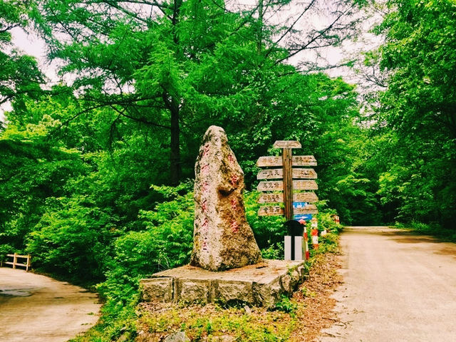 和睦森林公園🇨🇳