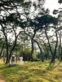 검푸른 숲을 호젓하게 거닐다 - 공주 고마나루솔밭