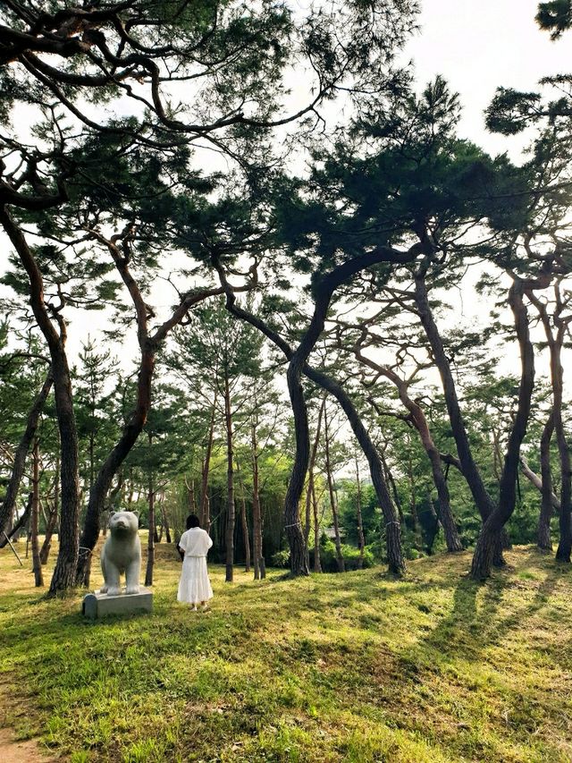 검푸른 숲을 호젓하게 거닐다 - 공주 고마나루솔밭