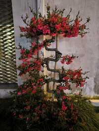 wunvzhou แหล่งรวมสีสันของ wuyuan