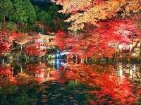 🍁 Daigoji Temple – Kyoto, Japan ⛩️🌿