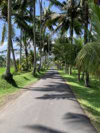 Ideal plan for Ubud 