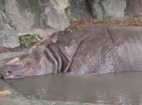 名古屋親子活動最佳場所#名古屋東山動植物園-日本愛知縣名古屋市