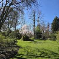 Arboretum Kalmthout,