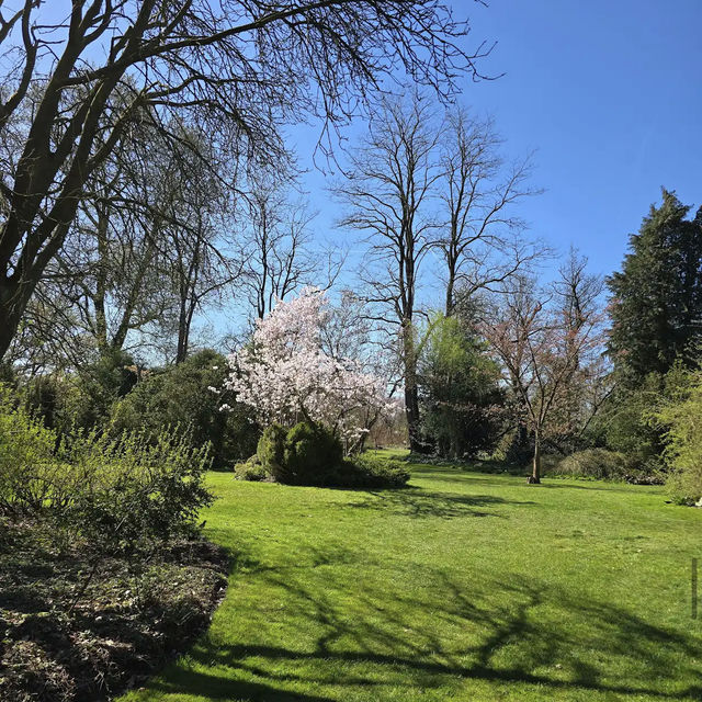 Arboretum Kalmthout,