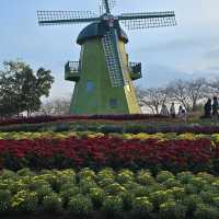 Suncheon Bay National Garden