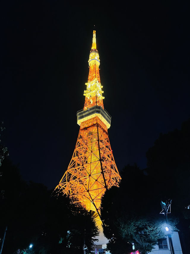 【ひとり旅におすすめ】東京満喫トリップ①日目 【ひとり旅におすすめ】東京満喫トリップ①日目