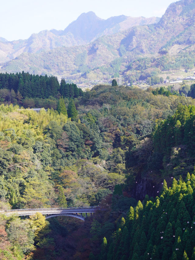 105mの鉄橋から見える壮大な景色 廃線を利用したトロッコ列車