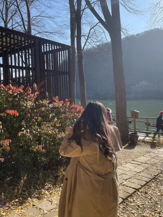 남이섬 네 번째 방문