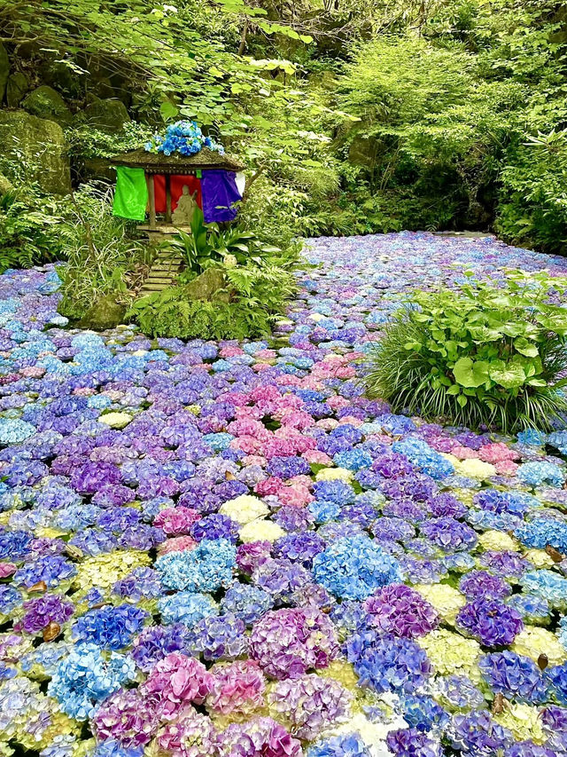 🌸 Nanzoin Temple — Serenity, Hydrangeas, and the Great Reclining Buddha
