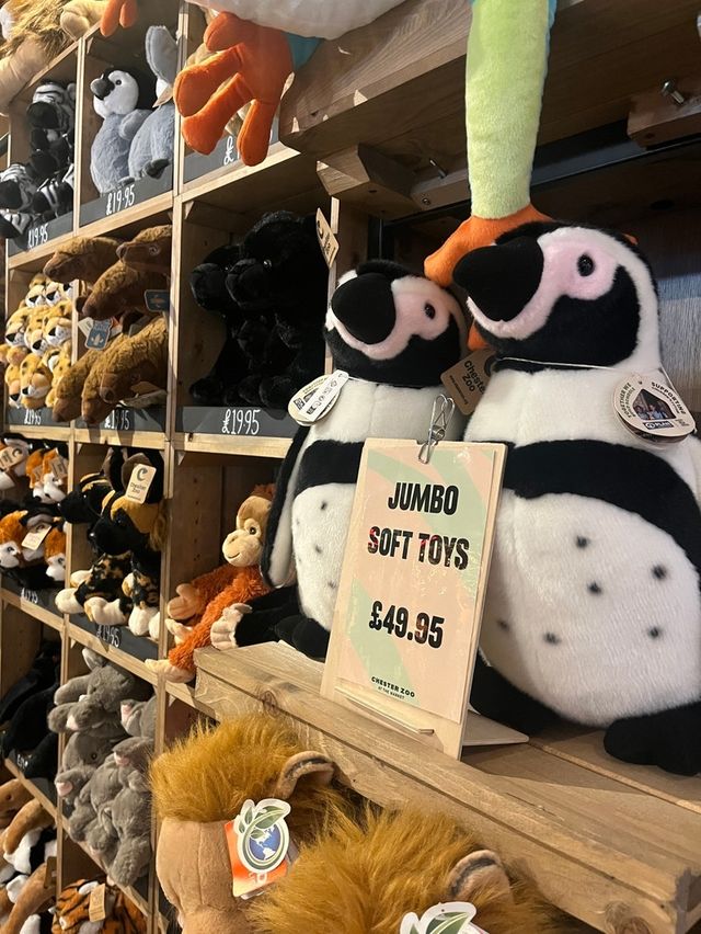 Zoo at Chester Market: A Whimsical Welcome to the Wild Zoo at Chester Market: A Whimsical Welcome to the Wild