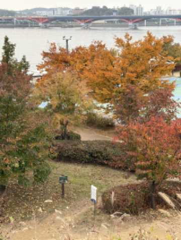 🌿 망원동 데이트 코스, 한강에서 카페까지의 여유로운 하루 ☕