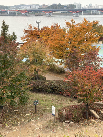 🌿 망원동 데이트 코스, 한강에서 카페까지의 여유로운 하루 ☕ 🌿 망원동 데이트 코스, 한강에서 카페까지의 여유로운 하루 ☕