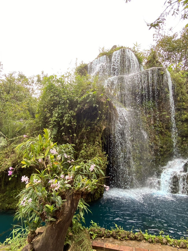 🌿 เปิดวาร์ป “แดนเทวดา” คาเฟ่ที่เล่นใหญ่ที่สุดดดดด 🌿 เปิดวาร์ป “แดนเทวดา” คาเฟ่ที่เล่นใหญ่ที่สุดดดดด