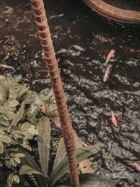 A Heartwarming Encounter with Nature – Feed the Fish @ 1 Utama Wildlife Conservation Efforts